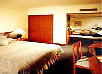 �����, �����, ����� Swissotel 5*