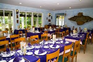 ����, ��������