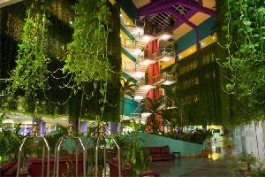 ����, ��������