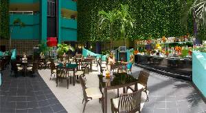 ����, ��������