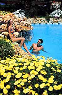 ����, �������