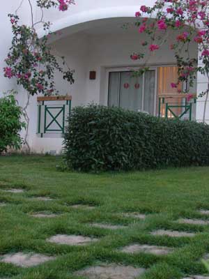 ������, ����-���-����