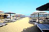 ������, �������