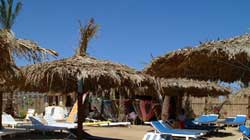 ������, �������