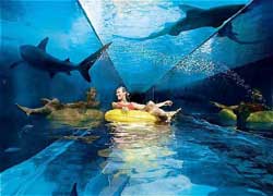 Atlantis The Palm ��� �����