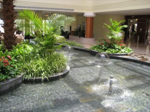 ���, ��������