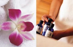 ���, �����