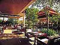   Banyan Tree , 