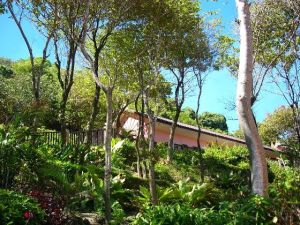 �������, �.������