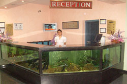 ������, ������