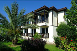 ������, ����