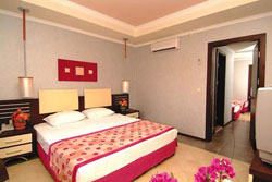 ������, ����