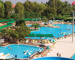 ������, ����