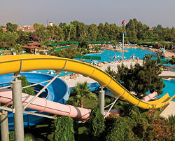 ������, ����