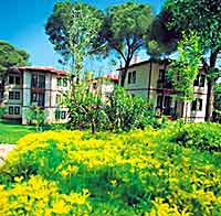 ������, �����