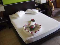 ������, ��������