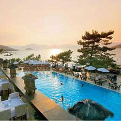 ������, ��������