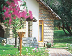 �������, ��������