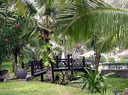 �������, ��������