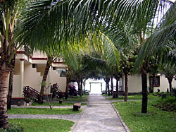 �������, ��������